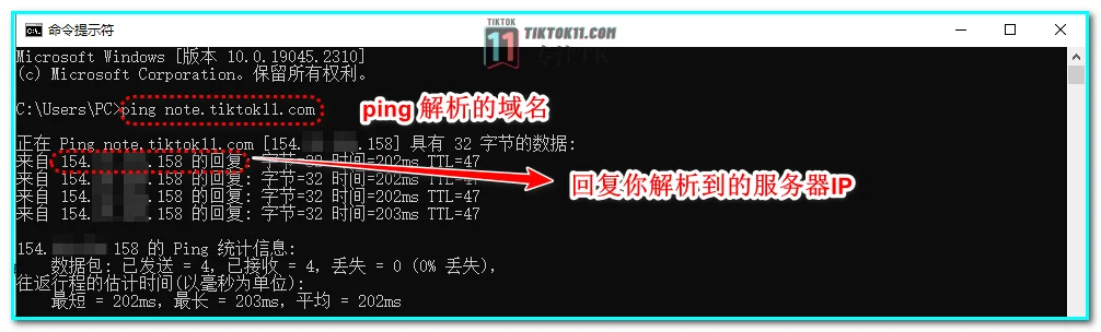 2025年TikTok节点搭建教程：纯净IP与专线转发，新手也能搭建tiktok节点