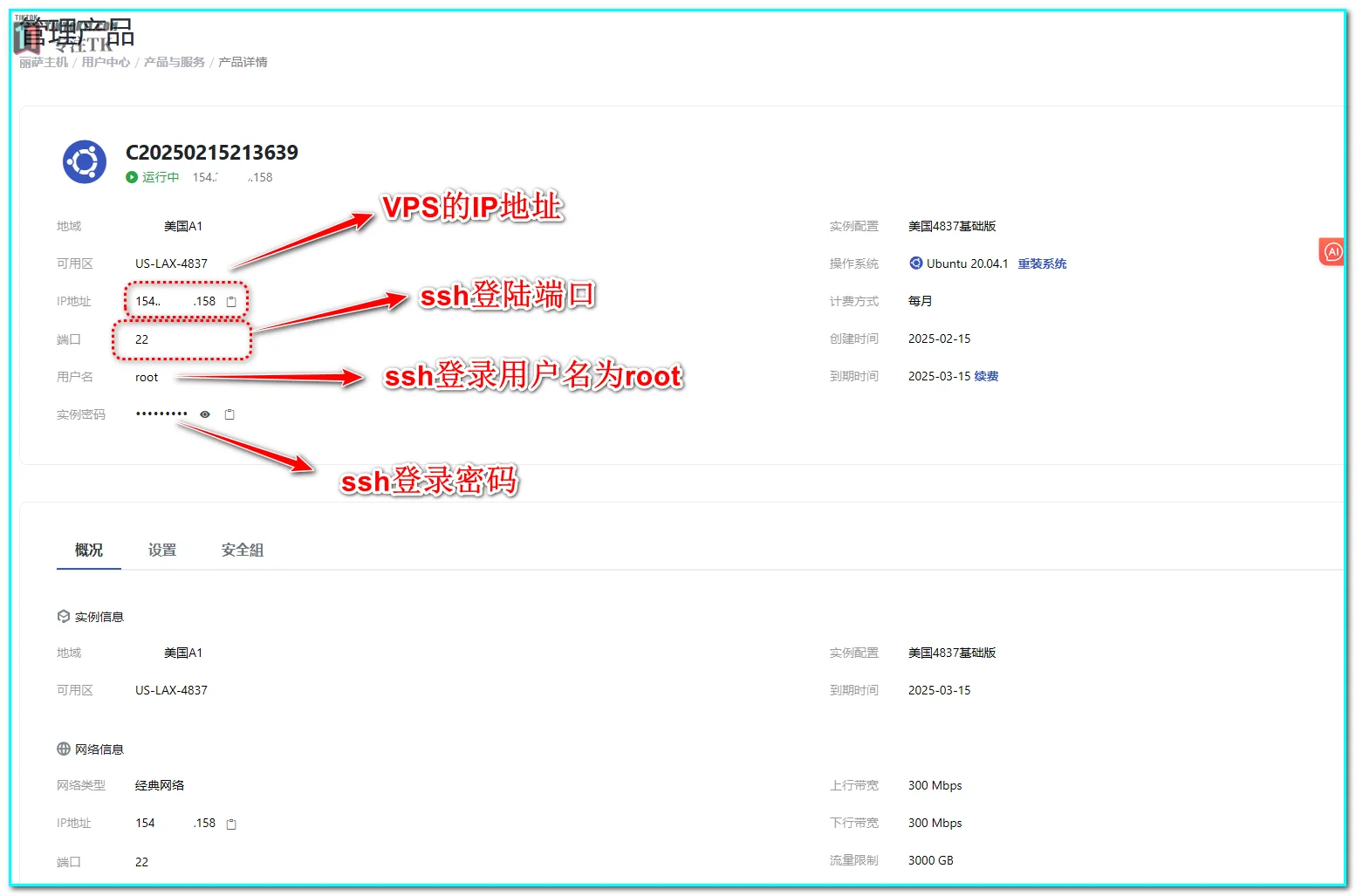 2025年TikTok节点搭建教程：纯净IP与专线转发，新手也能搭建tiktok节点